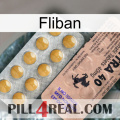 Fliban 41